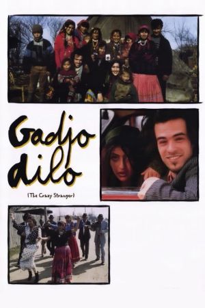 Gadjo Dilo - Geliebter Fremder